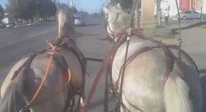 Тоже транспорт