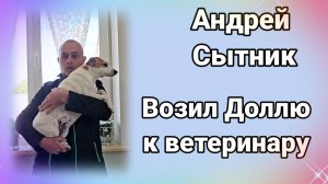 Андрей сытник свозил Доллю к ветеринару