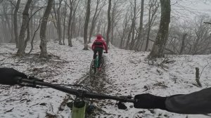 Зимний да ещё и Кантрийный Лес