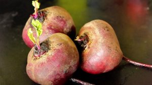 Аномально вкусно! ЗАКУСКА ИЗ СВЕКЛЫ. Жена в шоке.