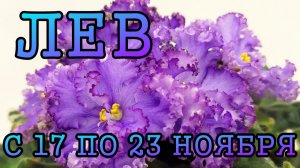 ЛЕВ таро прогноз на неделю с 17 по 23 НОЯБРЯ 2025 года.