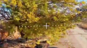 💪 Серия мощных ударов наших дроноводов