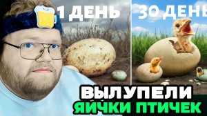 Т2х2 СМОТРИТ: Я вывел самые БОЛЬШИЕ и МАЛЕНЬКИЕ яйца в мире /  РЕАКЦИЯ Т2х2