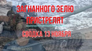 Загнанного Зелю пристрелят, сводка 13 ноября