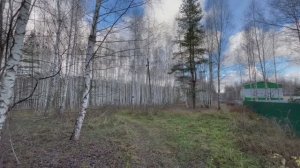 Участок ИЖС 20 соток Посёлок Бор Нижегородская область (Сельская Маза)