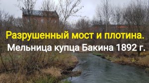 251113 Молодые сосны Старая мельница Бакина 1892 г Разрушенный мост плотина река Цон п Знаменка Орёл