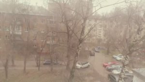 Поздняя осень. c-b4ea-e1bfb922e527