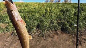 Рыбалка на спиннинг