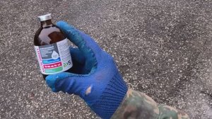 Новый день. Даем лекарство птице для профилактики.