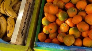 Жизнь Наташи и её  семьи в Испании.