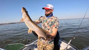 Рыбалка на Волге, рыбы нет, ном мы поймали щуку))) #рыбалка #щука