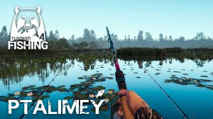 Что приготовила нам сегодня р. Белая🐟Русская рыбалка 4🐬Russian Fishing 4