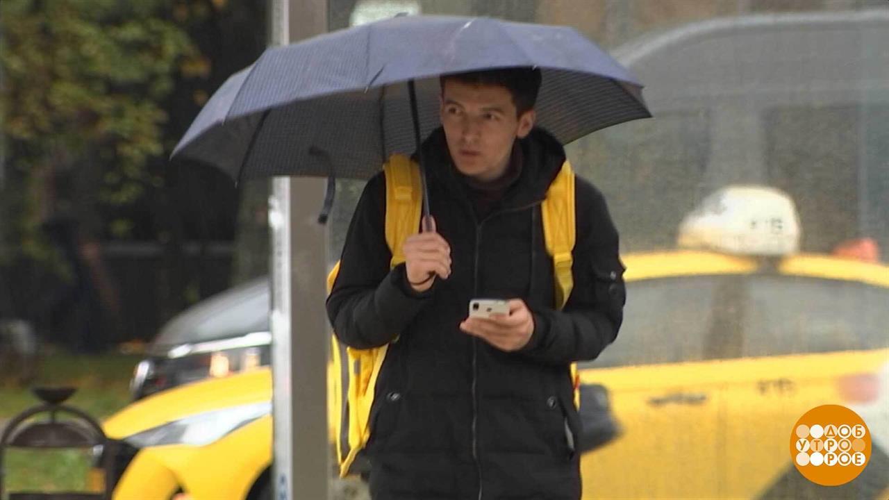 Интернет, я тебя не боюсь! Доброе утро. Фрагмент выпуска от 13.11.2025