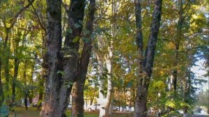 Антон Масленников|Колдовская колесница