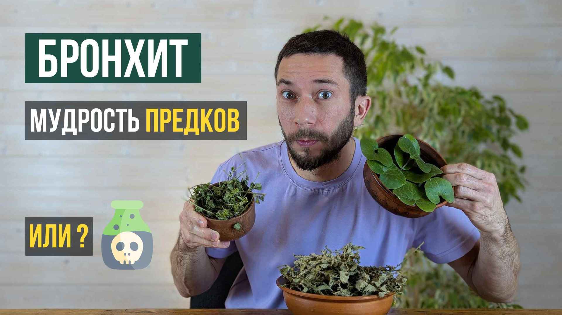 Бронхит уйдет за ночь? 3 травы, которые использовали наши предки