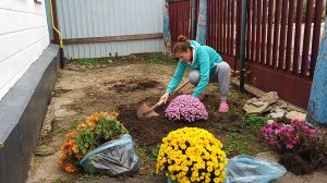 ЖИЗНЬ В СТАНИЦЕ./ ЭТОГО Я НЕ ОЖИДАЛА.