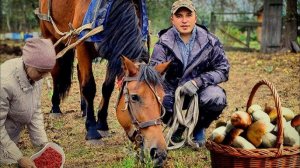 ДЕЛА СЕМЕЙНЫЕ: от Деревни до Хутора , Лесная Жизнь