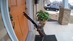 Кот прострелил дверь в Sora 2