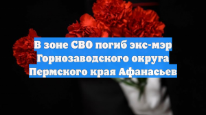 В зоне СВО погиб экс-мэр Горнозаводского округа Пермского края Афанасьев