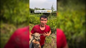 #смешныевидео -185