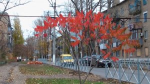 Где же ты и где искать твои следы _ Джо Дассен Бабье лето _