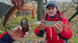 "У меня аж сердце бьётся!" - рыбак не ожидал, что поймает такую щуку! Осенняя рыбалка.