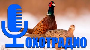 ПРО РУЖЬЯ КОМУ ВЕРИТЬ КОМУ НЕ ВЕРИТЬ? НАДО БРАТЬ 🔴ОХОТРАДИО