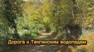 Дорога к Тенгинским водопадам. 800 метров чистой красоты: едем по осеннему лесу