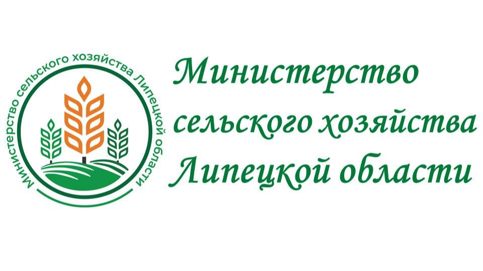 Золотая осень 2024