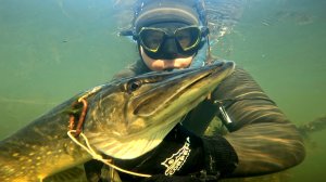 ПОДВОДНАЯ РЫБАЛКА 2025. В ЭТОМ МЕСТЕ СОТНИ ЩУК! Щука, Окунь, Лещ.