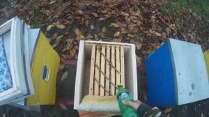 Обработка пчел бипином от клеща осенью