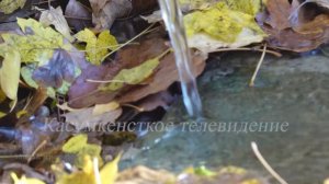 Райондин гуьрчег чкаяр