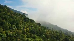 КОМЕДИЯ РОК КиберПоп Сборник Клипов