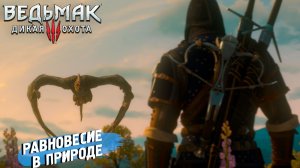 РАВНОВЕСИЕ В ПРИРОДЕ ➤ Ведьмак 3 Дикая Охота #86