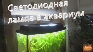 Светодиодная лента для аквариума