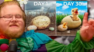 T2x2 СМОТРИТ ► Я вывел самые БОЛЬШИЕ и МАЛЕНЬКИЕ яйца в мире