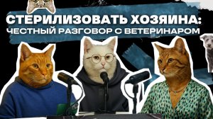 Стерилизовать хозяина: честный разговор с ветеринаром