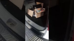 Видео WhatsApp 2025-11-13 в 11.46.34_2a57ebaf