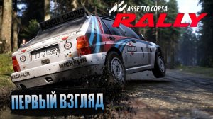 Assetto Corsa Rally | Logitech G27 GAMEPLAY | #acrally #rally #top #fun #funny