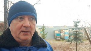 Подслушанный на базаре разговор