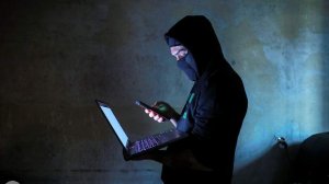 В РФ перед распродажами заблокировали рекордное число мошеннических сайтов