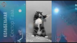 Колыбельная Сектор Газа