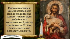 Молитва при зависти ближнему и сетовании о своих неудачах. Молитва на удачу. Православие