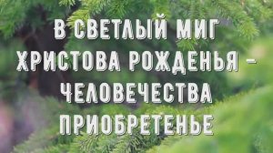 В светлый миг Христова рожденья - минус мой 1