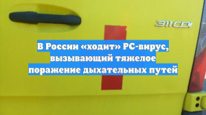 В России «ходит» РС-вирус, вызывающий тяжелое поражение дыхательных путей