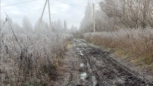 Добрый день всем. А у нас подмерзло... ....
