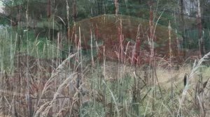 Кикимора и Бес. Стихи и видеомонтаж мои. Музыка Марка Минкова