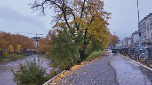 Цюрих под дождём прогулка по городу звуки улиц и швейцарское очарование вечернего дождя