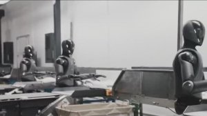 Роботы в работе