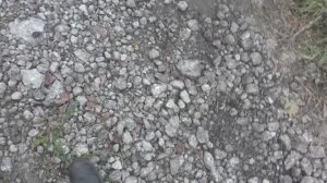 Пример махинаций с сельскими дорогами